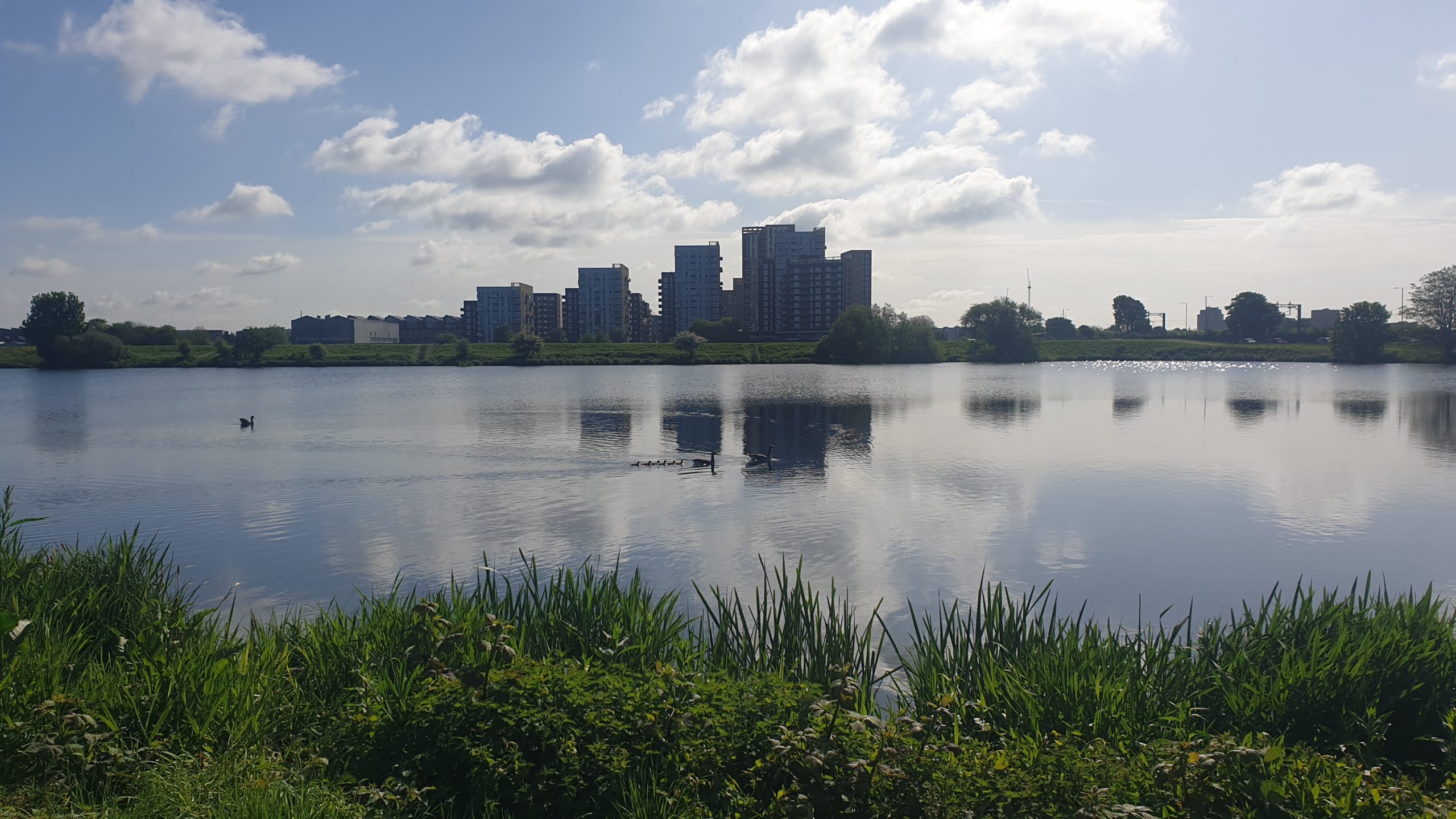 Guided Walk at Walthamstow Wetlands